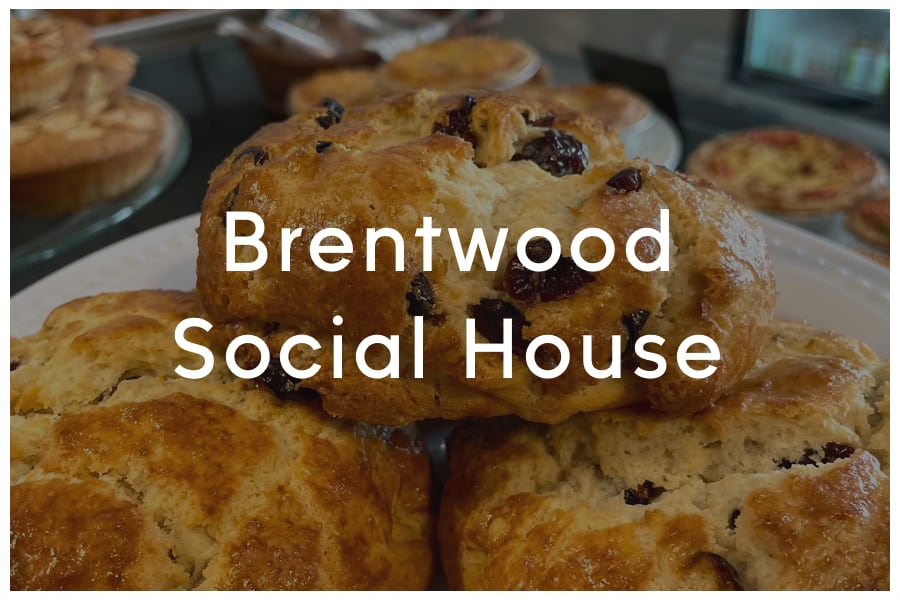 <span>Brentwood Social House<br><br>1601 W Koenig Lane<br>Austin, TX 78756<br><br>(512) 362-8656</span>