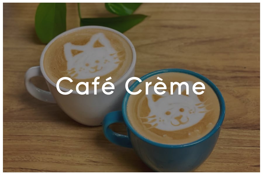 <span>Caf&eacute; Cr&egrave;me<br><br>1834 E Oltorf Street<br>Austin, TX 78741<br><br>(512) 710-9473</span>