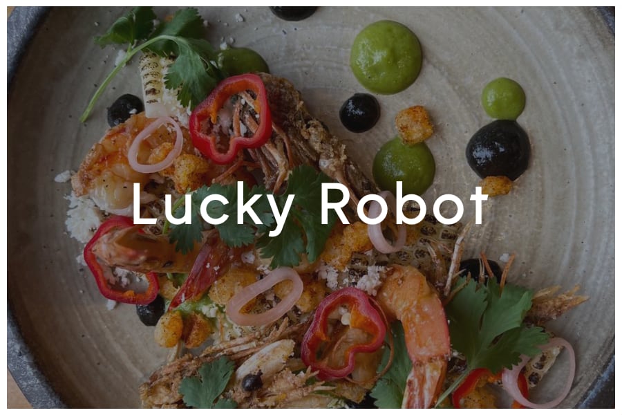 <span>Lucky Robot<br><br>1303 S Congress Avenue<br>Austin, TX 78704<br><br>(512) 444-8081</span>